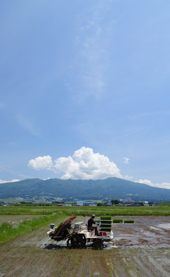 ASEDA