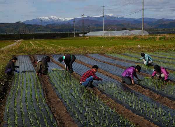 �ʂ˂��A���t���̌���