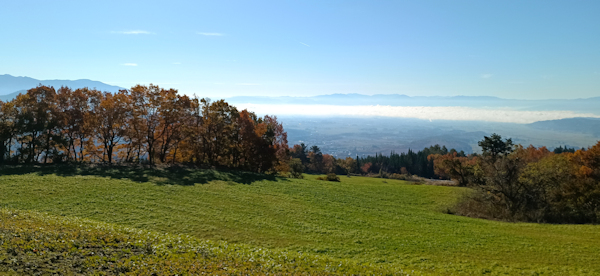 ���R�Đ��v���W�F�N�g