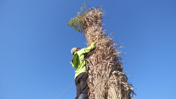 �΂̐_����