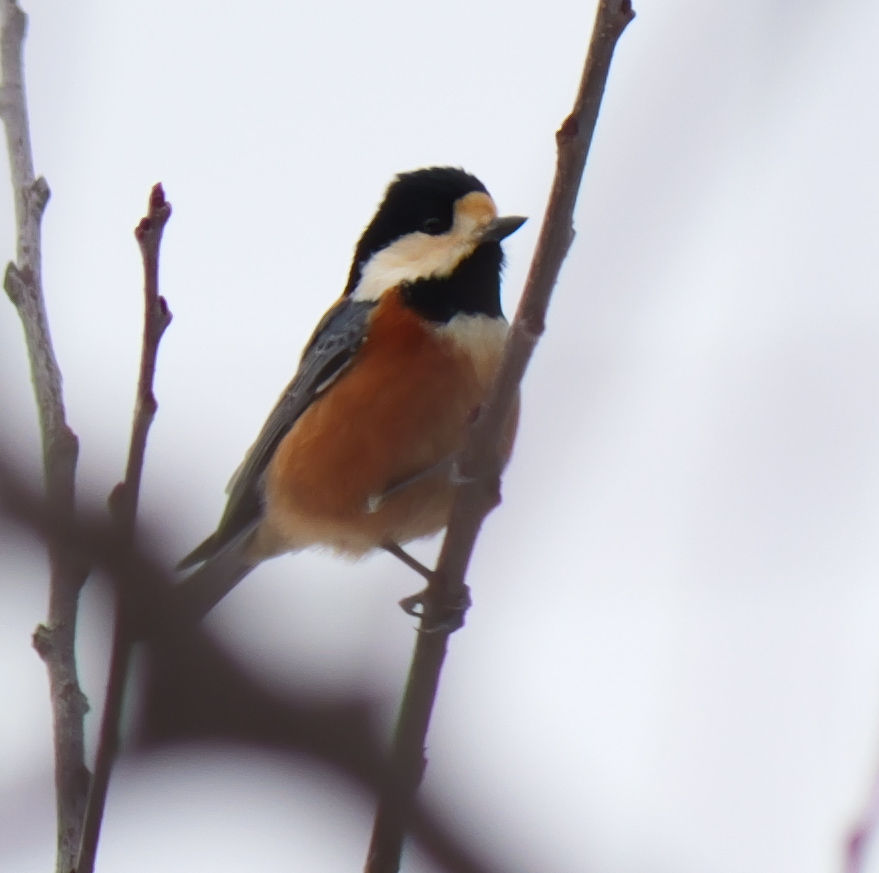 ���}�K��