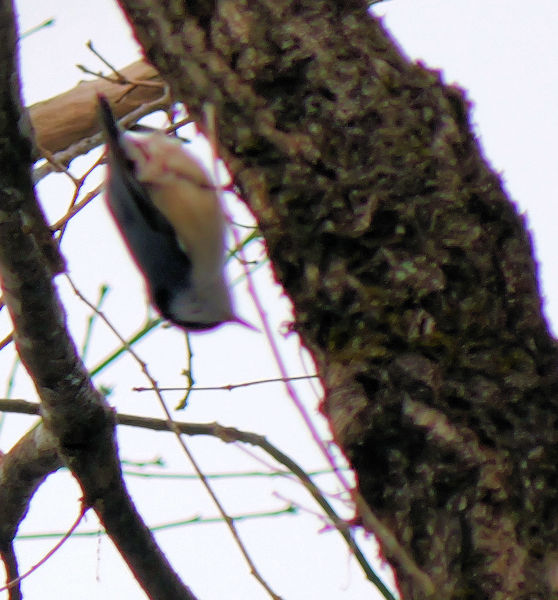 �S�W���E�J��