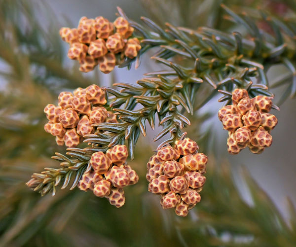 �}���o�A�I�_��