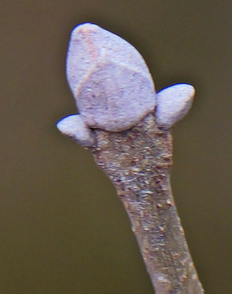 �}���o�A�I�_��