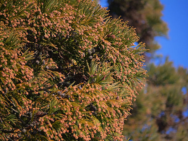 �S�W���E�J��