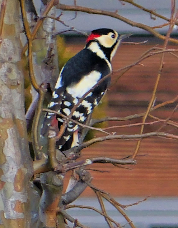 �A�J�Q���E�A�I�Q��