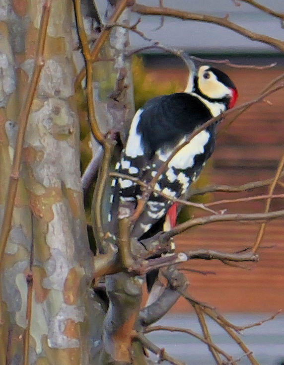 �A�J�Q���E�A�I�Q��