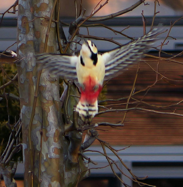 �A�J�Q���E�A�I�Q��