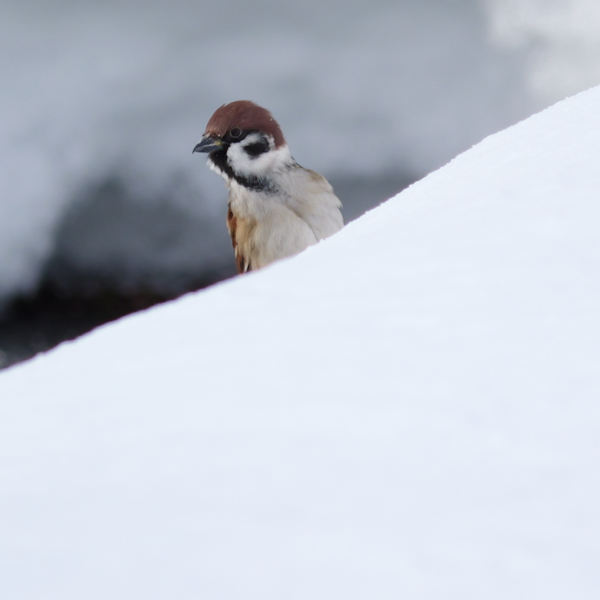 �n�M�}�V�R