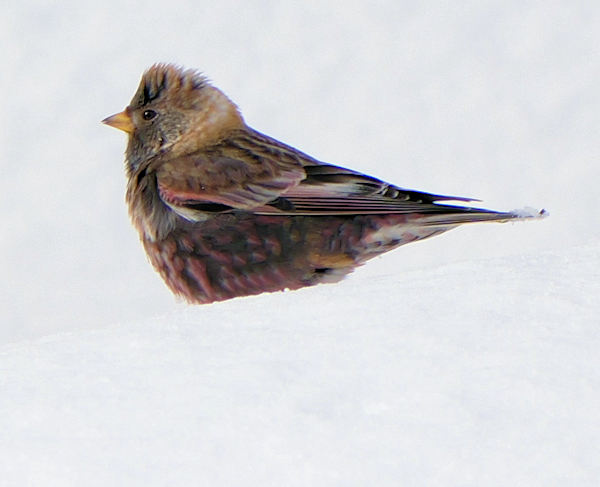 �n�M�}�V�R