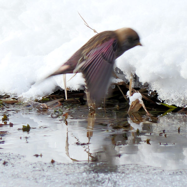 �n�M�}�V�R