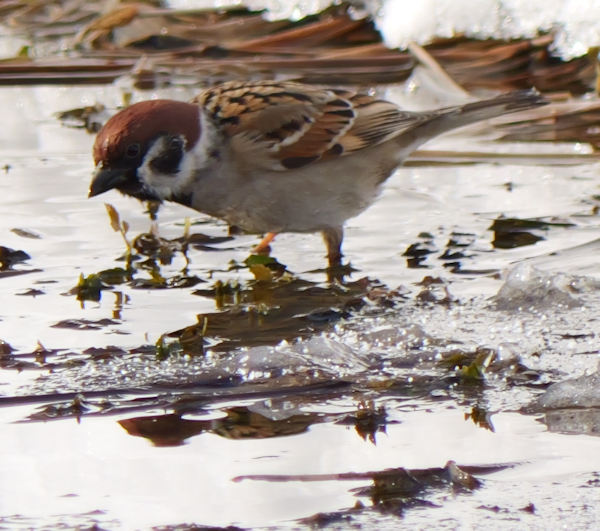 �n�M�}�V�R