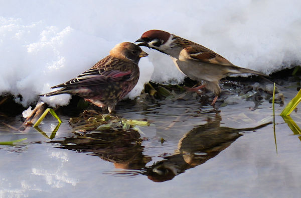 �n�M�}�V�R