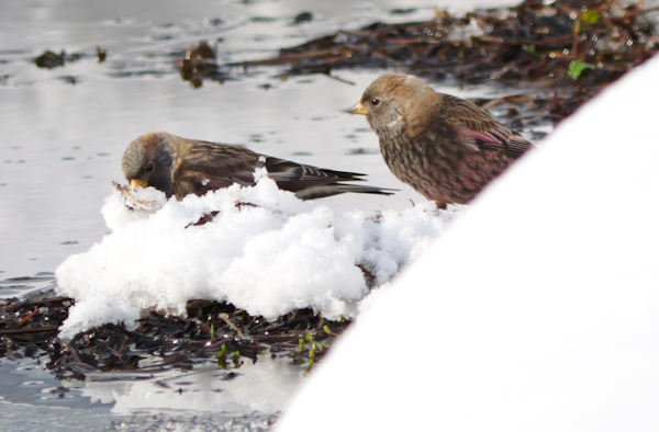 �n�M�}�V�R