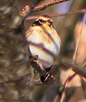 �~���}�z�I�W��