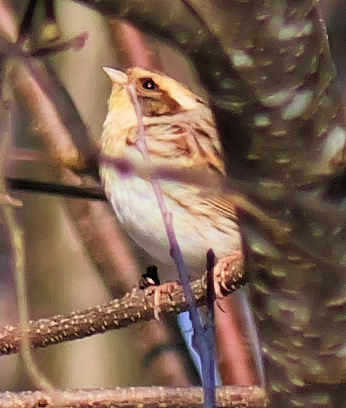 �~���}�z�I�W��