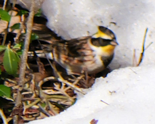 �~���}�z�I�W��