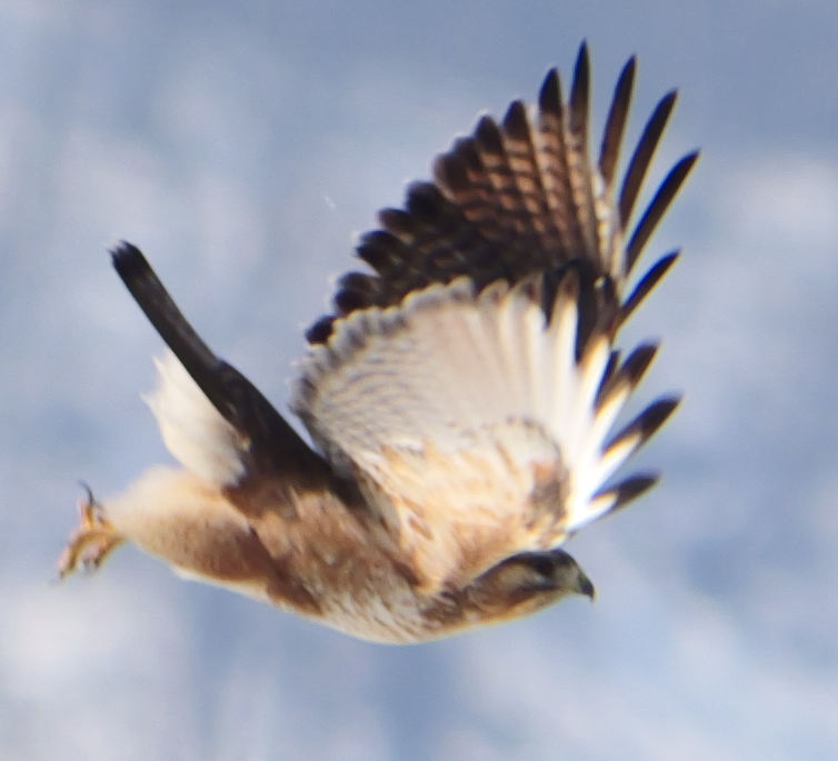 �m�X��(W=122/137����)