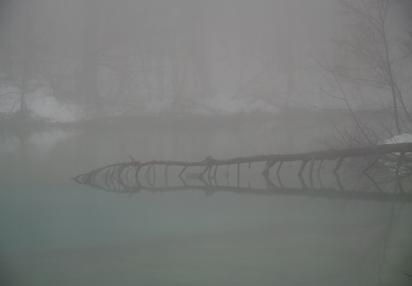 ���֒�ܐF��