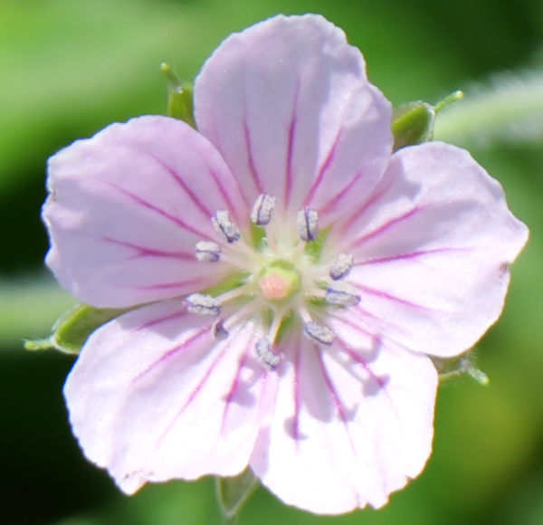 �Q���m�V���E�R