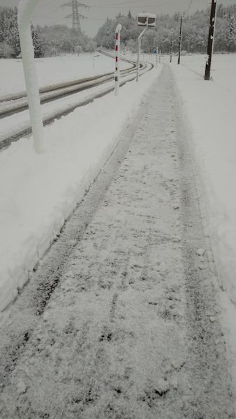 歩道除雪