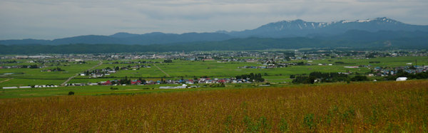 іLR