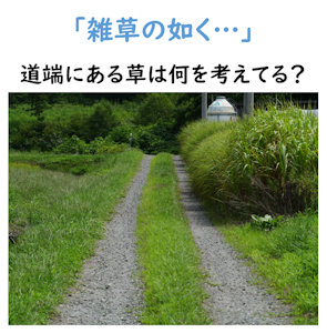 莩Ru