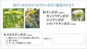 莩Ru