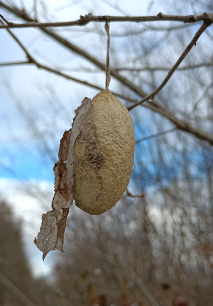 ���}�}��