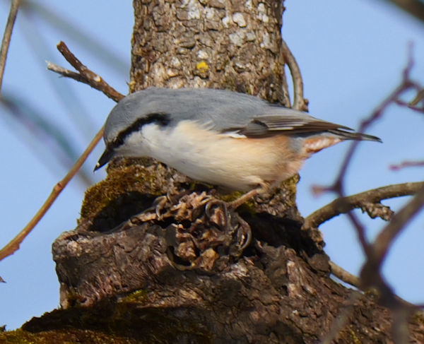 �S�W���E�J��