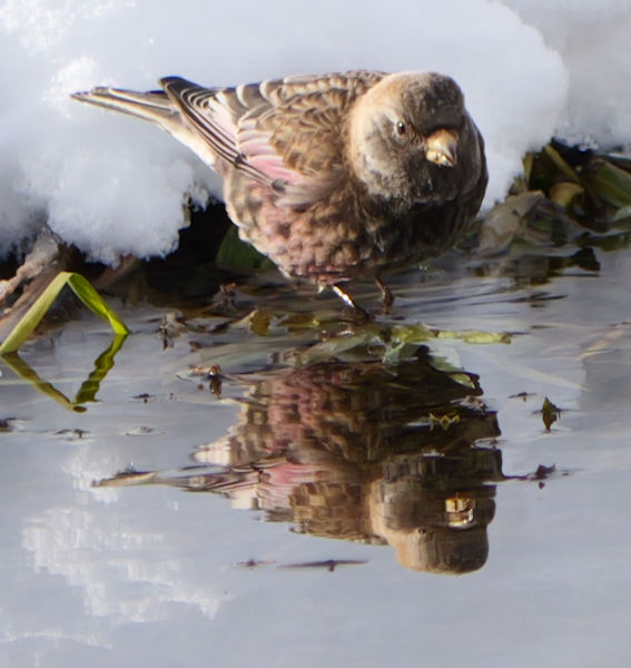 �n�M�}�V�R