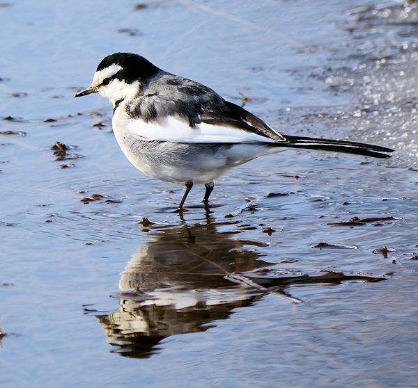 �n�M�}�V�R