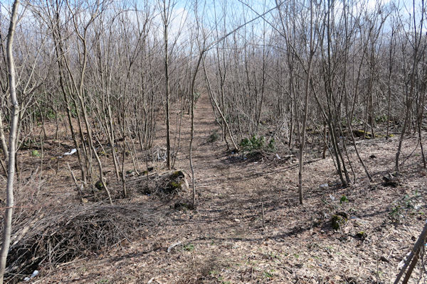 ���R�v���W�F�N�g���ؗ�