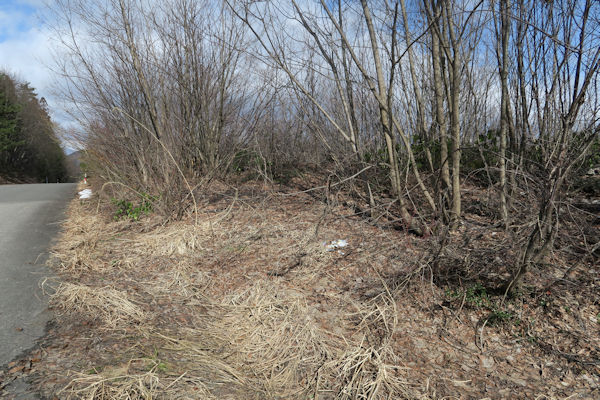 ���R�v���W�F�N�g���ؗ�