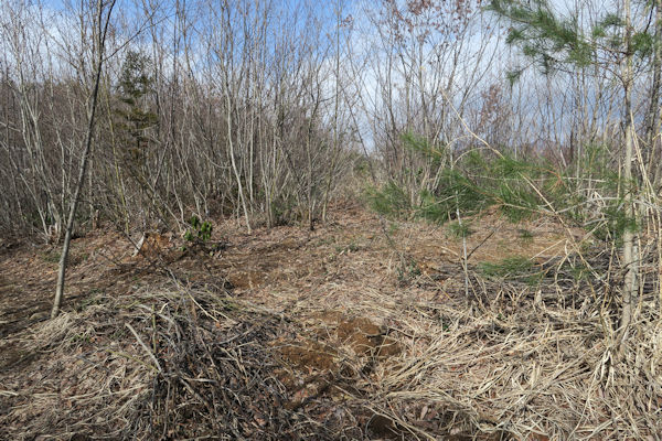 ���R�v���W�F�N�g���ؗ�