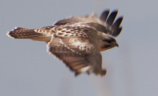 ���R�v���W�F�N�g���ؗ�