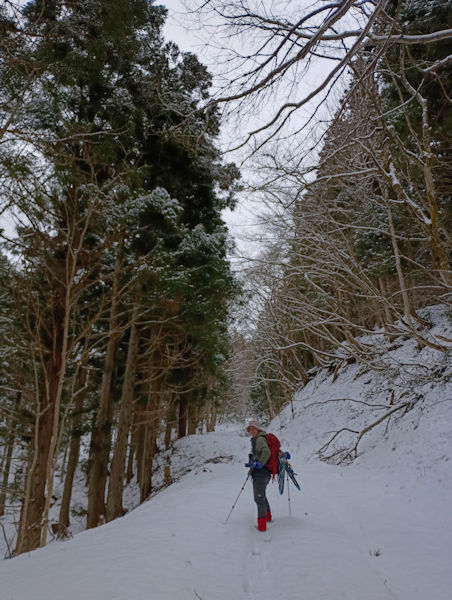 �Z�b�P�C�J���Q��