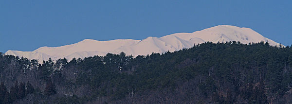 ����x(2128��)