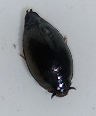 �~�Y�X�}�V