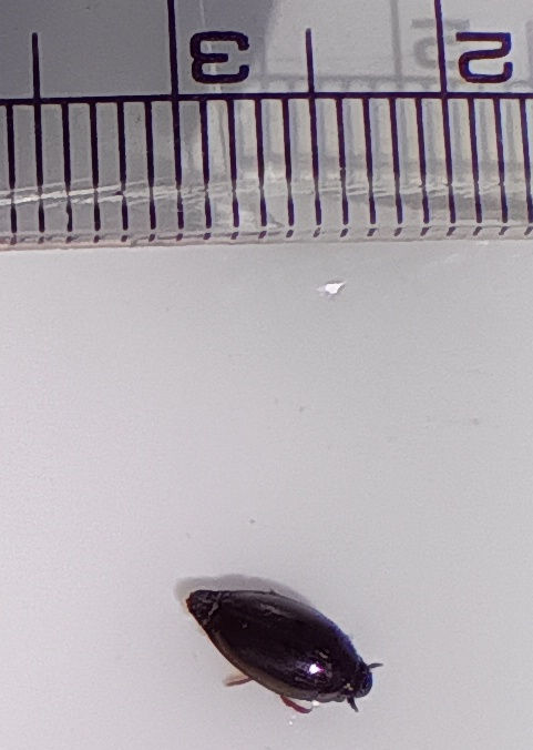 �~�Y�X�}�V