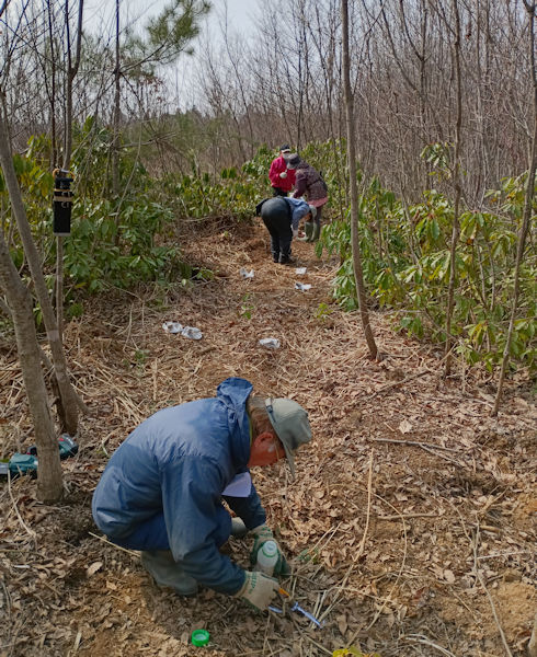 �������ގ�