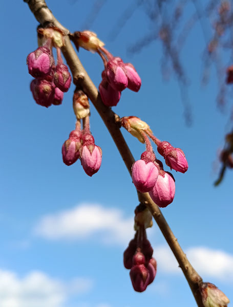 �������������