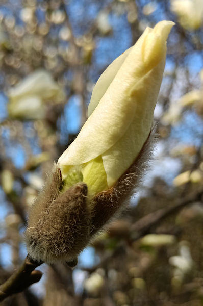 �n�N���N����