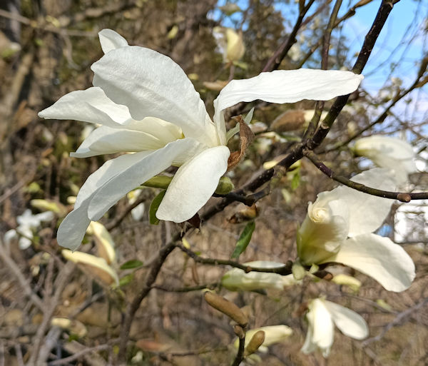 �n�N���N����