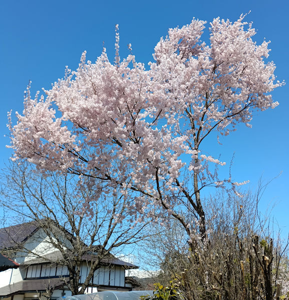 �����疞�J