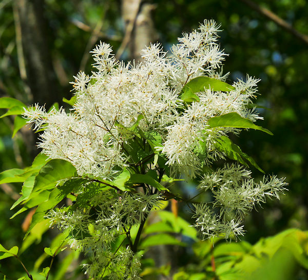 �}���o�A�I�_��