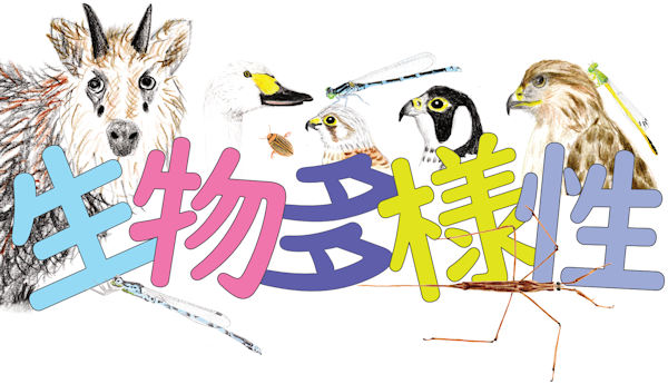 �h�c�r�I�g�[�v