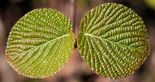 �M�����[ �c���������i